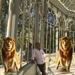 Victor Bora - @victor.bora.1675 - Instagram