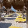 Victor W. Bowles - @victor.w..bowles - TikTok
