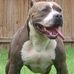 Victor Boyce - Facebook