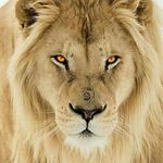 victor atilio bozzo - @victoratiliobozzo - Instagram
