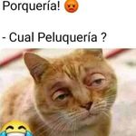 Victor Eduardo Bozzo Bozzo - @victoreduardobozzobozzo - Instagram