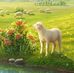 Victor Brun - Facebook