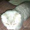 Victorbrush - @dominus2308 - TikTok