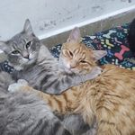 Victor Buenrostro - @victor.buenrostro.52 - Instagram
