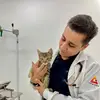 Victor Calixto - @victor.tenorio.calixto - TikTok