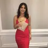 Victoria Campagna - @victoriacampagna6 - TikTok