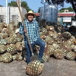 Victor Mauricio Candelas Palayo - @victormauriciocandelas - Instagram