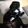 victorcarson - @victorcarson4 - TikTok