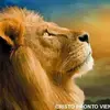 Victor Chicas - @victor.chicas - TikTok
