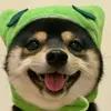 Victor_ho@Ogcloud - @victor_hoogcloud - TikTok