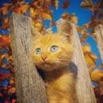 _VictorCoates_ - @_victorcoates_g - Instagram