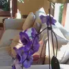 victorcobb11 - @victorcobb11 - TikTok