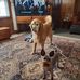 Victor Cody - Facebook