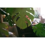Victor Conner - @__levi_sniderq2vrbi0_ - Instagram