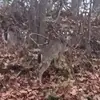 Victor Conner - @victor.conner57 - TikTok