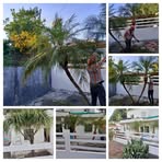 Victor Copto - Facebook