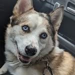 Victor Corbin - @corbin_003 - Instagram