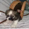 Victor - @victorcore0 - TikTok