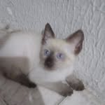 Victor Craft - @victorcraft24 - Instagram