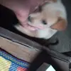 victorcudao - @victorcudao - TikTok