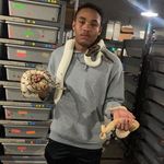Victor dailey - @pythons_wrld - Instagram