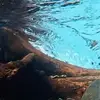 victordaniel.8_1991 - @victordaniel.8_1991 - TikTok