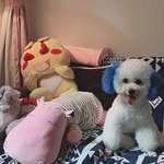 Victor Daugherty - @aelimasyha - Instagram