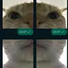 Joao sxzcg - @desimonevictor - TikTok