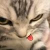 Victoria._.dewitt - @victoria._.dewitt - TikTok