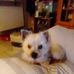 Victor Dick - Facebook