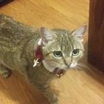 Victor Doyle - @victor.doyle.79 - Instagram