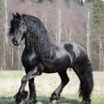 Victor Durango - @durango5523 - Instagram