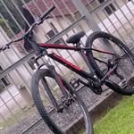 Vitor Eberhardt - @vitinho_br66 - Instagram