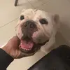 VictorEugene - @victoreugene_ - TikTok