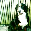 Victor Fehrlund - @victor_fehrlund - TikTok