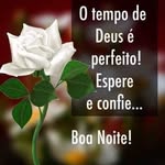 Victor Fera - @victor.fera - Instagram