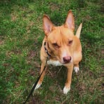 Victor Ferrell - Facebook