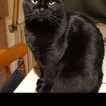 VictorFerrell - @oaxftbes5 - Instagram
