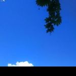 VictorFerrell - @oaxftbes53 - Instagram