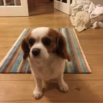 Victor Ferris - @victorf781 - Instagram