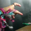victorferris645 - @victorferris645 - TikTok