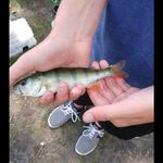 VICTOR_FISH - @victor._.fish - Instagram