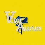Victor fish aquarium Gallery - @_victor_fish_aquarium - Instagram