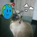 Victor Flores - Facebook