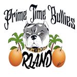 Victor Floyd - @orlandoprimetimebullies - Instagram