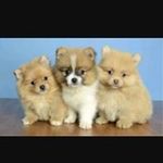 Victor Galbraith - @galbraithvictor - Instagram