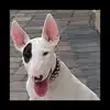 victorgardea52 - @victorgardea52 - TikTok