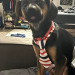 Victor SR Goodwin - @victorsr.goodwin - Instagram