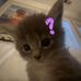 Victor Griffiths - Facebook