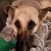 Victoria Hamby - Facebook